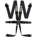 TRS- Pro 6 Point FIA Harness-  ( VARIOUS COLOURS)