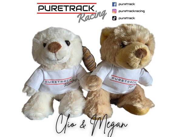 Puretrack Racing - Teddy Megan or Clio