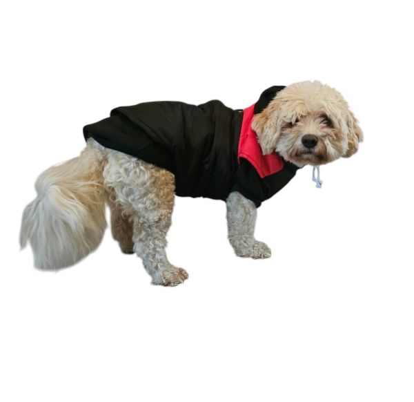 Dog Puretrack Racing Winter coat