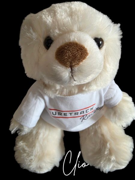 Puretrack Racing - Teddy Megan or Clio